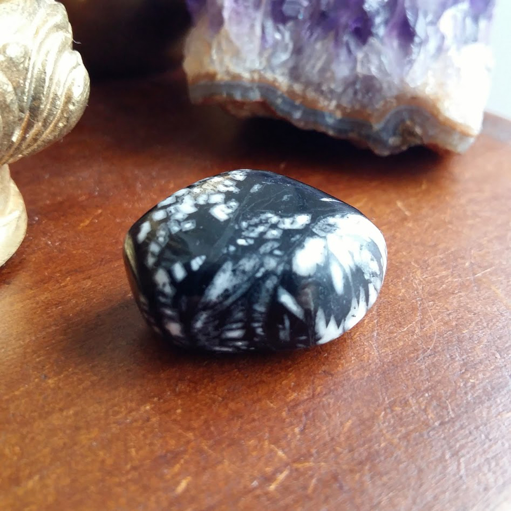 Chrysanthemum Stone is grounding, protective and clears the aura