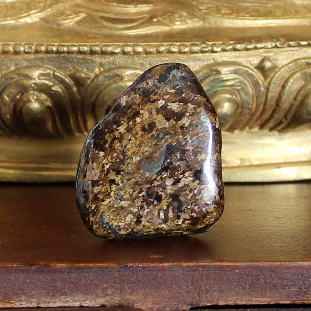Bronzite Meaning: Grounding and Determination