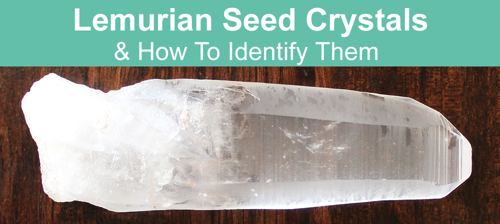 1/2LB NATURAL Lemurian Seed CLEAR Quartz Crystal Wand Points Specimen D4
