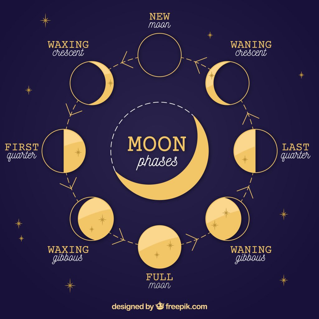 Moon phases chart