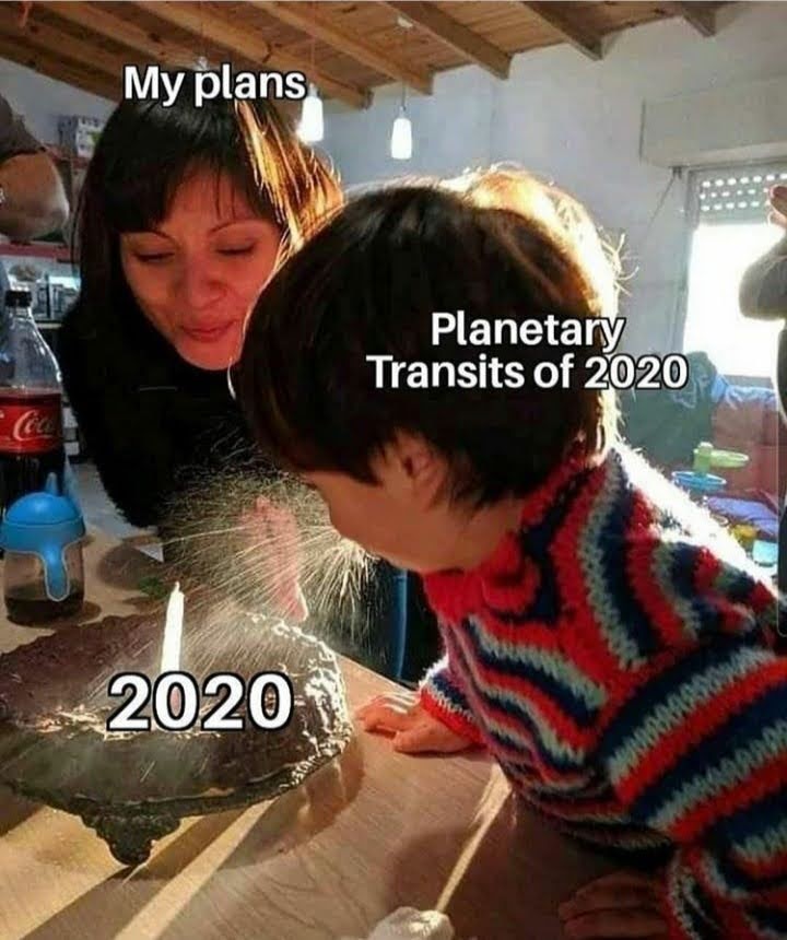 2020 plans meme