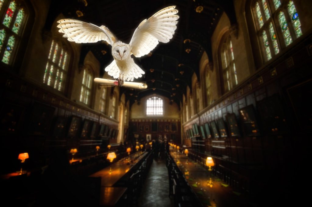 The great hall at Hogwarts with a white owl
