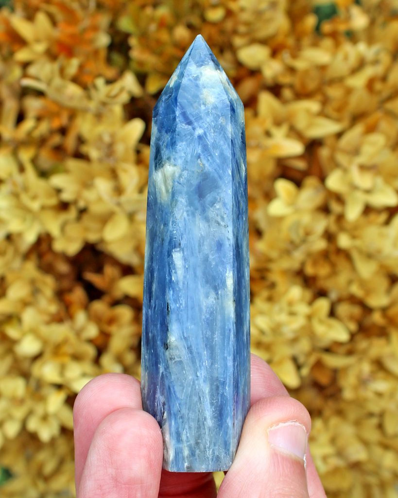 Blue kyanite crystal power with golden autumn/fall leaves behind